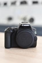Canon EOS 250D body (Zwolle), Foto-Groep, Gebruikt, Luttekepoortstraat 26 3841 AX Harderwijk, Spiegelreflex