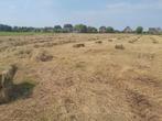 Natuurland  hooi pakjes kleine baaltjes, Dieren en Toebehoren, Ophalen of Verzenden, Vee