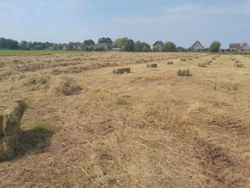  Natuurland  hooi pakjes kleine baaltjes  beschikbaar voor biedingen