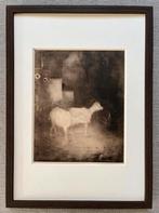Jan Mankes 1889-1920 / Heliogravure Geitjes in Bos 1923, Ophalen of Verzenden