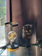 Britse korthaar Poes 7 maanden, Dieren en Toebehoren, Katten en Kittens | Overige Katten, Poes, 0 tot 2 jaar