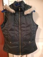 Bodywarmer, zwart, maat L, capuchon kan er af, Ophalen of Verzenden, Zo goed als nieuw, Maat 38/40 (M), Zwart
