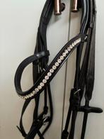 Schockemöhle hoofdstel, rondgenaaid (Malibu), maat COB, Dieren en Toebehoren, Ophalen of Verzenden, Zo goed als nieuw, Dressuur