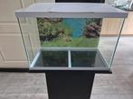 Superfish Start 70 Tropical (60L) met meubel, Dieren en Toebehoren, Vissen | Aquaria en Toebehoren, Ophalen, Gebruikt, Leeg aquarium