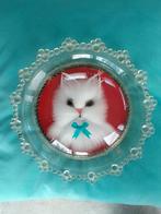 Vintage 3D fluffy Perzische witte kat, in glazen schaal/dome, Ophalen of Verzenden