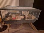 Hamster + hok, Minder dan 75 cm, Zo goed als nieuw, Ophalen, Minder dan 60 cm