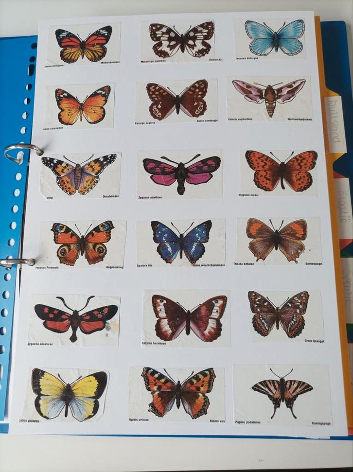 Hele grote verzameling suikerzakjes van 1980-nu suikerzakje, Verzamelen, Suikerzakjes, Ophalen of Verzenden