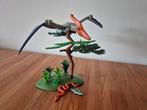 Playmobil Pteranodon, Ophalen, Zo goed als nieuw, Complete set