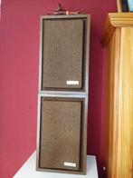 Vintage Interaudio Bose Model 1000 Luidsprekers, Overige merken, Gebruikt, Ophalen of Verzenden, Minder dan 60 watt