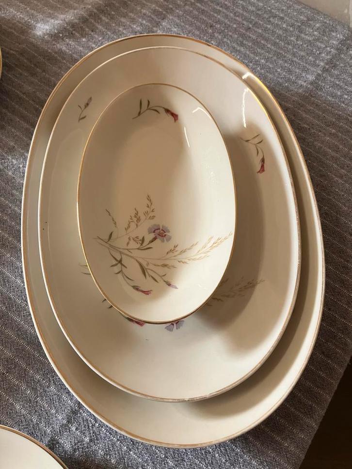 12 delig servies, Huis en Inrichting, Keuken | Servies, Overige stijlen, Porselein, Ophalen