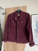 Zgan fluwelen bordeaux kleurige jasje maat L, Ophalen of Verzenden, Zo goed als nieuw, Maat 38/40 (M), Rood