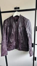 Aubergine blazer/jasje 38, Ophalen of Verzenden, Zo goed als nieuw, Maat 38/40 (M), Paars