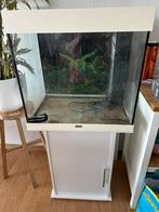 Jewel Lido 120 aquarium met kast en toebehoren, Ophalen, Gebruikt, Leeg aquarium