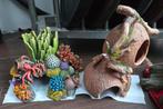 Ornamenten per stuk, Dieren en Toebehoren, Vissen | Aquaria en Toebehoren, Ophalen of Verzenden, Plant(en), Steen of Hout