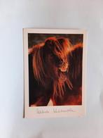 kaart paard veulen dier, Ophalen, 1980 tot heden, Ongelopen, Paard