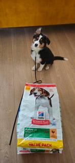 Hill's science plan puppy brokken 18 kilo!, Dieren en Toebehoren, Ophalen, Hond