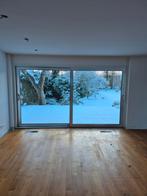 Schuifpui aluminium met 2 grote ruiten., Doe-het-zelf en Verbouw, Ophalen, Aluminium, 225 cm of meer, Schuifpui