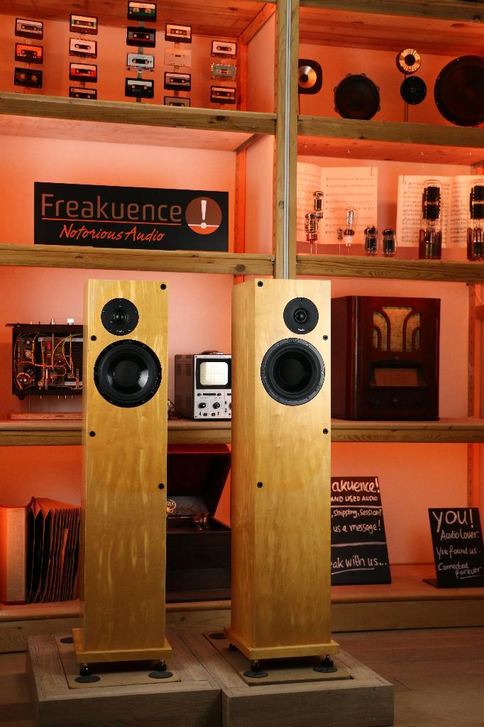 ProAc Response D Twenty Five / D25 INRUIL. Zet aan-genaam!, Audio, Tv en Foto, Luidsprekers, Zo goed als nieuw, Front, Rear of Stereo speakers