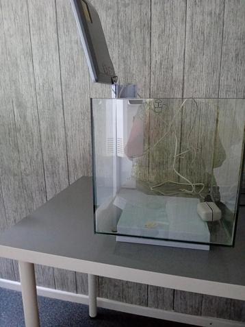 Aquarium beschikbaar voor biedingen