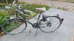 Raleigh, Ophalen of Verzenden, Gebruikt, Overige merken