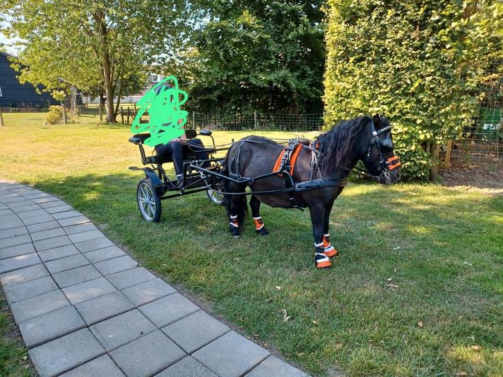 Sulky sport geremd, incl leren mentuig, Dieren en Toebehoren, Paarden en Pony's | Hoofdstellen en Tuigage, Ophalen