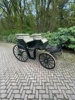 Antieke koets, Dieren en Toebehoren, Ophalen