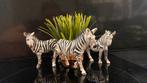 Schleich Wildlife: Zebra kudde, Verzamelen, Dierenverzamelingen, Ophalen of Verzenden, Zo goed als nieuw, Paard, Beeldje of Figuurtje