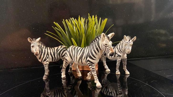 Schleich Wildlife: Zebra kudde, Verzamelen, Dierenverzamelingen, Zo goed als nieuw, Beeldje of Figuurtje, Paard, Ophalen of Verzenden
