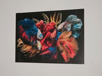 Schilderij van glas/plexiglas beschikbaar voor biedingen