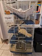 Kooi voor fretten of chinchilla s, Ophalen of Verzenden