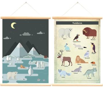 Schoolplaat Kinderposter Poster Pooldieren Little & Pure