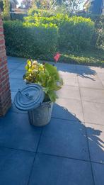 Vintage 2 Metalen Emmers Plantenbak, Gebruikt, Rond, Tuin, Metaal