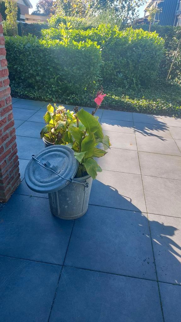 Vintage 2 Metalen Emmers Plantenbak, Tuin en Terras, Bloempotten, Gebruikt, Metaal, Binnen, Balkon, Tuin, 40 tot 70 cm, 25 tot 40 cm