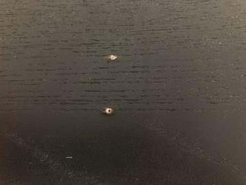 Ikea Billy Boekenkast zwart eikenpatroon - afbeelding 6