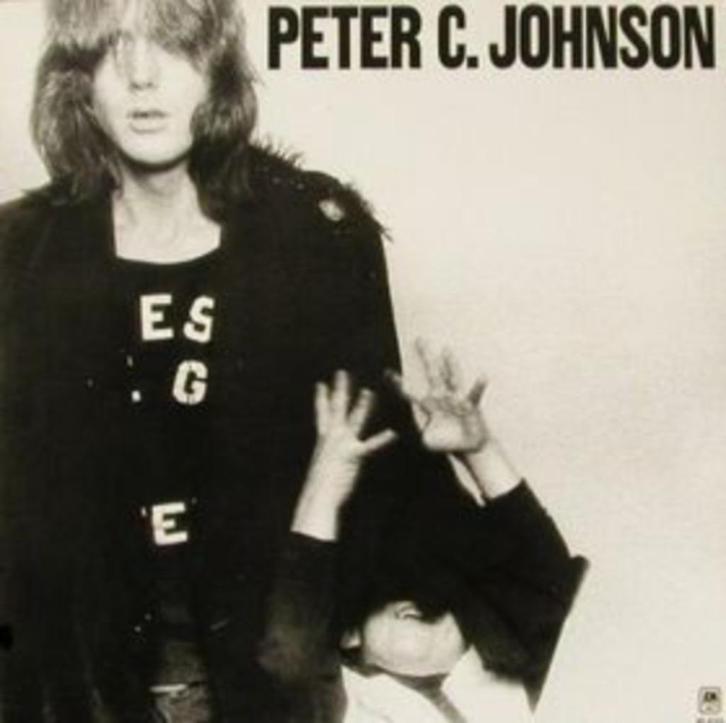LP PETER C. JOHNSON - SAME ( Singer/Songwriter ), Cd's en Dvd's, Vinyl | Rock, Zo goed als nieuw, Singer-songwriter, 12 inch, Ophalen of Verzenden