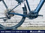 Cannondale 29 M Tesoro Neo X 2 GRA LG Heren Gra L LG 2019, Gebruikt, Overige merken