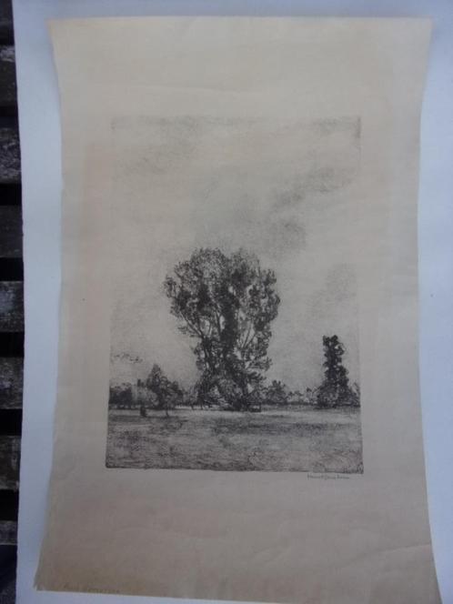 Gerretsen, Huub - Landschap met bomen Litho, Antiek en Kunst, Kunst | Etsen en Gravures, Ophalen of Verzenden