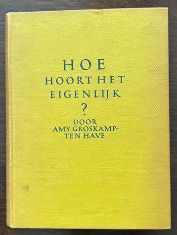 HOE HOORT HET EIGENLIJKJ?  AMY GROSKAMP TEN HAVE. beschikbaar voor biedingen