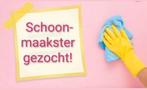 Schoonmaakster gezocht!!!, Ophalen of Verzenden