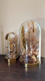 2 glazen stolpen met droogbloemen, Ophalen