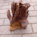 Flink stuk hout aquarium/terrarium, Ophalen, Gebruikt, Plant(en), Steen of Hout