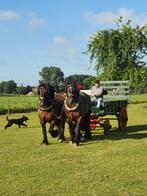 Mechelse boerenwagen, Dieren en Toebehoren, Rijtuigen en Koetsen, Gebruikt, Overige typen, Paard