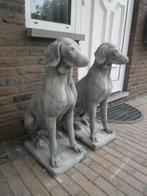 Engelse Jachthond ,Pointer,Weimaraner, Tuin en Terras, Tuinbeelden, Ophalen, Nieuw, Beton, Dierenbeeld