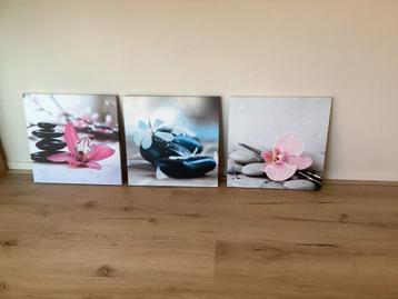 3 Schilderijen 40x40 cm beschikbaar voor biedingen