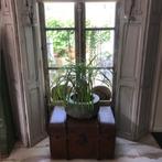 Antieke offwhite hoge dubbele luiken, luik, dubbel luik, Antiek en Kunst, Curiosa en Brocante, Ophalen