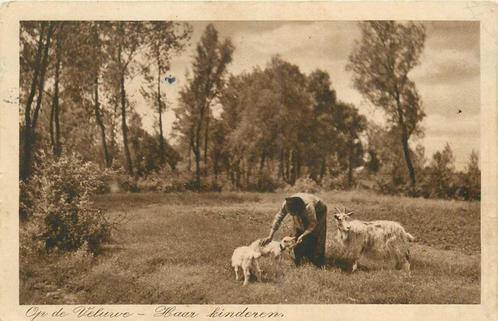 (388-503-031) Op de Veluwe, Verzamelen, Ansichtkaarten | Nederland, Gelderland, Verzenden
