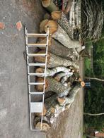 haardhout, 6 m³ of meer, Ophalen, Stammen