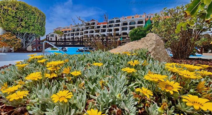 Te huur: Appartement op Rocas del Mar - Spanje - Tenerife, Vakantie, Vakantiehuizen | Spanje, Canarische Eilanden, Appartement