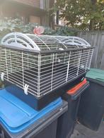 Cavia/konijnen kooi, Kooi, Gebruikt, 75 tot 110 cm, Cavia