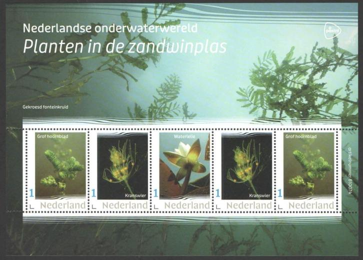Nederlandse Onderwaterwereld: Planten in de zandwinplas, Postzegels en Munten, Postzegels | Nederland, Postfris, Na 1940, Ophalen of Verzenden